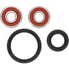 Pivot Works Honda, Kymco, Suzuki Wheel Bearing Kit Premium Bearings - 25-1644-P Photo - Primary