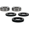 Pivot Works BMW Wheel Bearing Kit Premium Bearings - 25-1647-P Photo - Primary