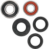 Pivot Works Polaris Wheel Bearing Kit Premium Bearings - 25-1665-P Photo - Primary