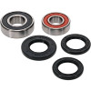 Pivot Works Polaris Wheel Bearing Kit Premium Bearings - 25-1665-P Photo - Primary