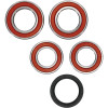Pivot Works Ducati Wheel Bearing Kit Premium Bearings - 25-1668-P Photo - Primary