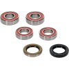 Pivot Works BMW Wheel Bearing Kit Premium Bearings - 25-1673-P Photo - Primary