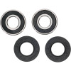 Pivot Works BMW Wheel Bearing Kit Premium Bearings - 25-1678-P Photo - Primary