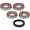 Pivot Works Ducati Wheel Bearing Kit Premium Bearings - 25-1707-P Photo - Primary