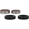Pivot Works Yamaha Wheel Bearing Kit Premium Bearings - 25-1721-P Photo - Primary