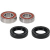 Pivot Works Yamaha Wheel Bearing Kit Premium Bearings - 25-1721-P Photo - Primary