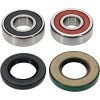 Pivot Works Yamaha Wheel Bearing Kit Premium Bearings - 25-1742-P Photo - Primary