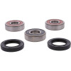 Pivot Works Honda Wheel Bearing Kit Premium Bearings - 25-1755-P Photo - Primary