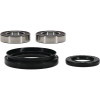 Pivot Works Kawasaki Wheel Bearing Kit Premium Bearings - 25-1786-P Photo - Primary