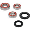Pivot Works BMW Wheel Bearing Kit Premium Bearings - 25-1810-P Photo - Primary