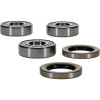 Pivot Works BMW Wheel Bearing Kit Premium Bearings - 25-1813-P Photo - Primary