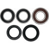 Pivot Works BMW Wheel Bearing Kit Premium Bearings - 25-1814-P Photo - Primary