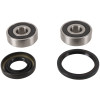 Pivot Works 1990 Honda CB125TT PW Front Wheel Bearing Kit - PWFWS-H02-000 Photo - Primary