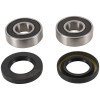 Pivot Works 06-07 BMW G650X MOTO PW Front Wheel Bearing Kit - PWFWS-H07-000 Photo - Primary