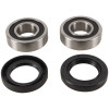 Pivot Works 03-06 Honda CBR600RR PW Front Wheel Bearing Kit - PWFWS-H08-000 Photo - Primary