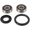 Pivot Works 99-07 Honda VT125 SHADOW (Euro) PW Front Wheel Bearing Kit - PWFWS-Y04-000 Photo - Primary