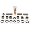 Pivot Works 96-01 Honda CR500R PW Linkage Bearing Kit - PWLK-H50-000 Photo - Primary