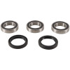 Pivot Works 06-11 Aprilia RXV 450 PW Rear Wheel Bearing Kit - PWRWK-K13-021 Photo - Primary
