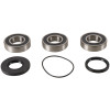 Pivot Works 05-23 Polaris Phoenix 200 PW Rear Wheel Bearing Kit - PWRWK-P12-000 Photo - Primary