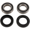 Pivot Works 02-06 Can-Am DS 50 PW Rear Wheel Bearing Kit - PWRWK-P13-000 Photo - Primary