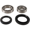 Pivot Works 00-05 Yamaha YFM35FX Wolverine PW Rear Wheel Bearing Kit - PWRWK-Y23-030 Photo - Primary
