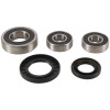 Pivot Works 04-05 Kawasaki KLV1000 (Euro) PW Rear Wheel Bearing Kit - PWRWS-S14-000 Photo - Primary