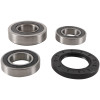 Pivot Works 01-03 Suzuki GSX-R600 PW Rear Wheel Bearing Kit - PWRWS-S17-000 Photo - Primary