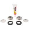 Pivot Works 02-03 Can-Am Quest 500 PW Swing Arm Kit - PWSAK-C01-000 Photo - Primary