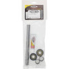 Pivot Works 19-23 Honda CRF250F PW Swing Arm Kit - PWSAK-H47-000 Photo - Primary