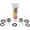 Pivot Works 1994 Honda CR250R PW Rear Shock Bearing Kit - PWSHK-H13-020 Photo - Primary
