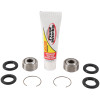 Pivot Works 94-95 Honda CR125R PW Rear Shock Bearing Kit - PWSHK-H15-521 Photo - Primary