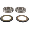 Pivot Works 21-22 Aprilia RS 660 PW Steering Stem Bearing Kit - PWSSK-D01-000 Photo - Primary