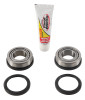 Pivot Works 2017 Beta RR-S 4T 125 PW Steering Stem Bearing Kit - PWSSK-K08-000 Photo - Primary