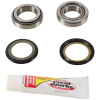 Pivot Works 83-03 Kawasaki KX60 PW Steering Stem Bearing Kit - PWSSK-K09-000 Photo - Primary
