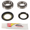 Pivot Works 10-22 Kawasaki KLX110 PW Steering Stem Bearing Kit - PWSSK-K10-000 Photo - Primary