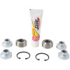 Pivot Works 2011 Polaris RZR XP 900 PW Rear Trailing Arm Bearing Kit - PWTAK-P01-000 Photo - Primary