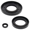 Vertex Gaskets 1987 Ski-Doo Citation Oil Seal Kit - 55102 Photo - Primary