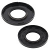 Vertex Gaskets 80-83 Moto ski MiRage 11/11E/SP FC/2 Oil Seal Kit - 55103 Photo - Primary