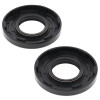 Vertex Gaskets 99-08 Arctic Cat Panther 370 Oil Seal Kit - 55109 Photo - Primary