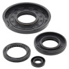 Vertex Gaskets 84-11 Yamaha Bravo 250 Oil Seal Kit - 55158 Photo - Primary