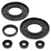 Vertex Gaskets 1998 Ski-Doo Formula III Oil Seal Kit - 55181 Photo - Primary