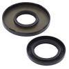 Vertex Gaskets 15-18 Arctic Cat Bear Cat 2000 Oil Seal Kit - 55212 Photo - Primary