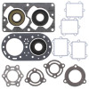 Vertex Gaskets 93-99 Arctic Cat Tigershark 640 Complete Gasket Kit w/ Oil Seals - 611501 Photo - Primary