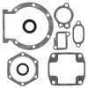 Vertex Gaskets  Jlo-cuyuna L340 FC/1 Complete Gasket Kit w/ Oil Seals - 711015 Photo - Primary