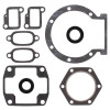 Vertex Gaskets  Jlo-cuyuna L295/L300 24mm crank FC/1 Complete Gasket Kit w/ Oil Seals - 711016X Photo - Primary
