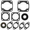 Vertex Gaskets 76-80 Arctic Cat Jag 2000 Complete Gasket Kit w/ Oil Seals - 711057 Photo - Primary