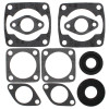 Vertex Gaskets 76-80 Arctic Cat Jag 3000 FA/2 Complete Gasket Kit w/ Oil Seals - 711058 Photo - Primary