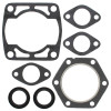 Vertex Gaskets 72-78 Polaris Colt 244 FC/1 Complete Gasket Kit w/ Oil Seals - 711069 Photo - Primary
