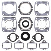 Vertex Gaskets  Jlo-cuyuna 2F440/2 6 Bolt Head FC/2 Complete Gasket Kit w/ Oil Seals - 711106B Photo - Primary