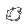 Cometic Ford 302/351W Windsor V8 .018in AFM Water Pump Cover Plate Gasket - SVO - C5663-018 Photo - Primary